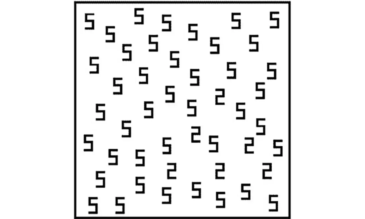 Un insieme di "5" e qualche "2" sparsi, un po' come la sinestesia significato, dove i sensi si mescolano.