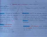 Appunti su "Il sabato del villaggio": l'illusione nell'attesa del piacere, il sabato come preparazione, la giovinezza piena di speranze, ma la domenica porta alla realtà.