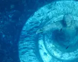 Il Cristo sommerso di San Fruttuoso, circondato da pesci, veglia sul fondale marino.