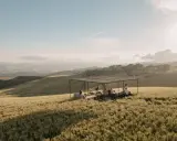 Un gruppo di persone si riunisce sotto una tettoia in un campo di grano dorato, godendosi la tipica bellezza siciliana al tramonto.