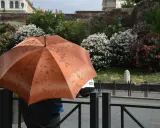 Ombrello arancione bagnato dalla pioggia, un'idea per cosa vedere a Roma se piove: musei e gallerie d'arte.