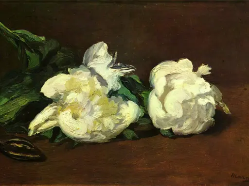 Due peonie bianche, una paronomasia di fiore, su sfondo scuro.