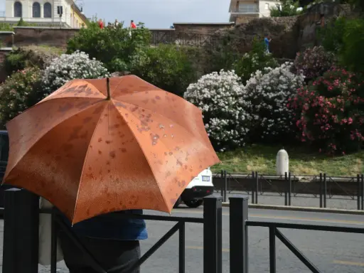 Ombrello arancione bagnato dalla pioggia, un'idea per cosa vedere a Roma se piove: musei e gallerie d'arte.